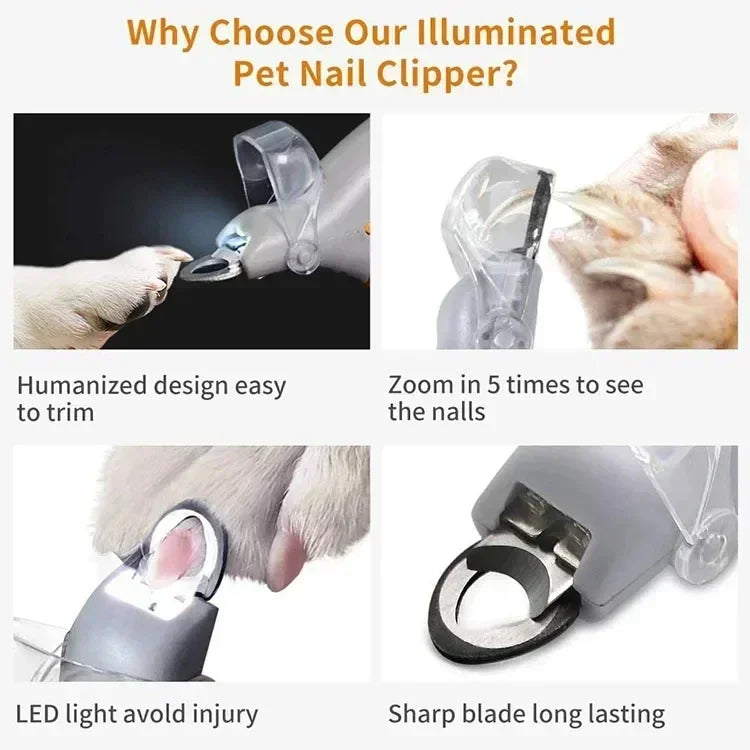 Professional Pet Nail Clipper Scissors with LED Light, Cat and Dog Nail Clippers, Claw Cutter Pet Supply